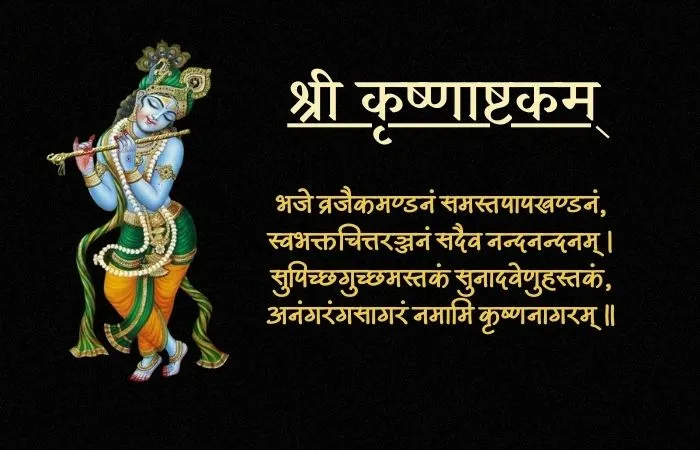 Shri Krishnashtakam Hindi Meaning