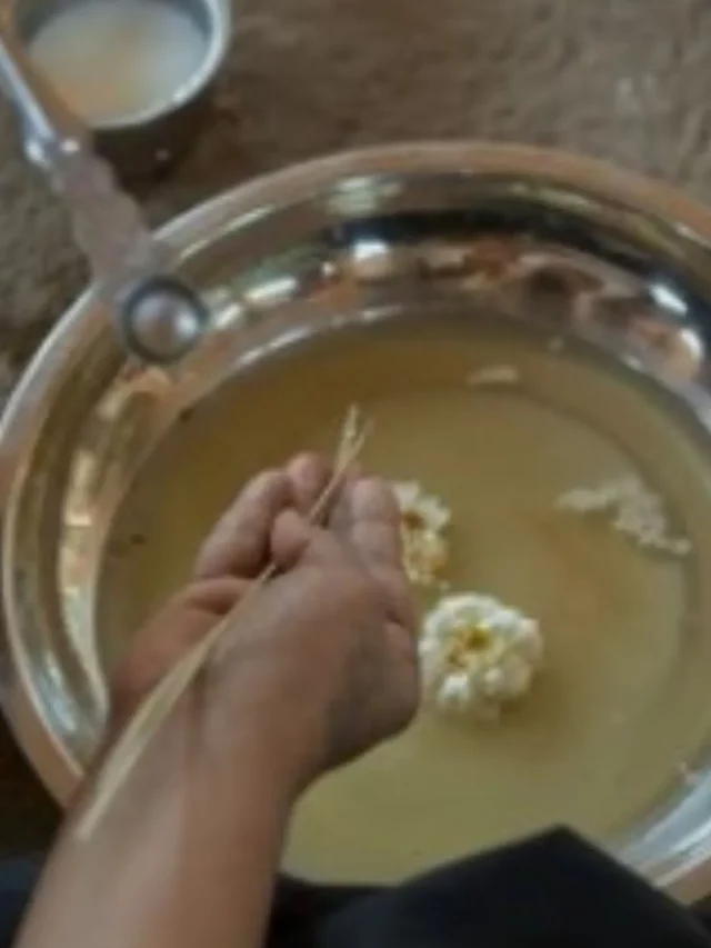 pitru paksha